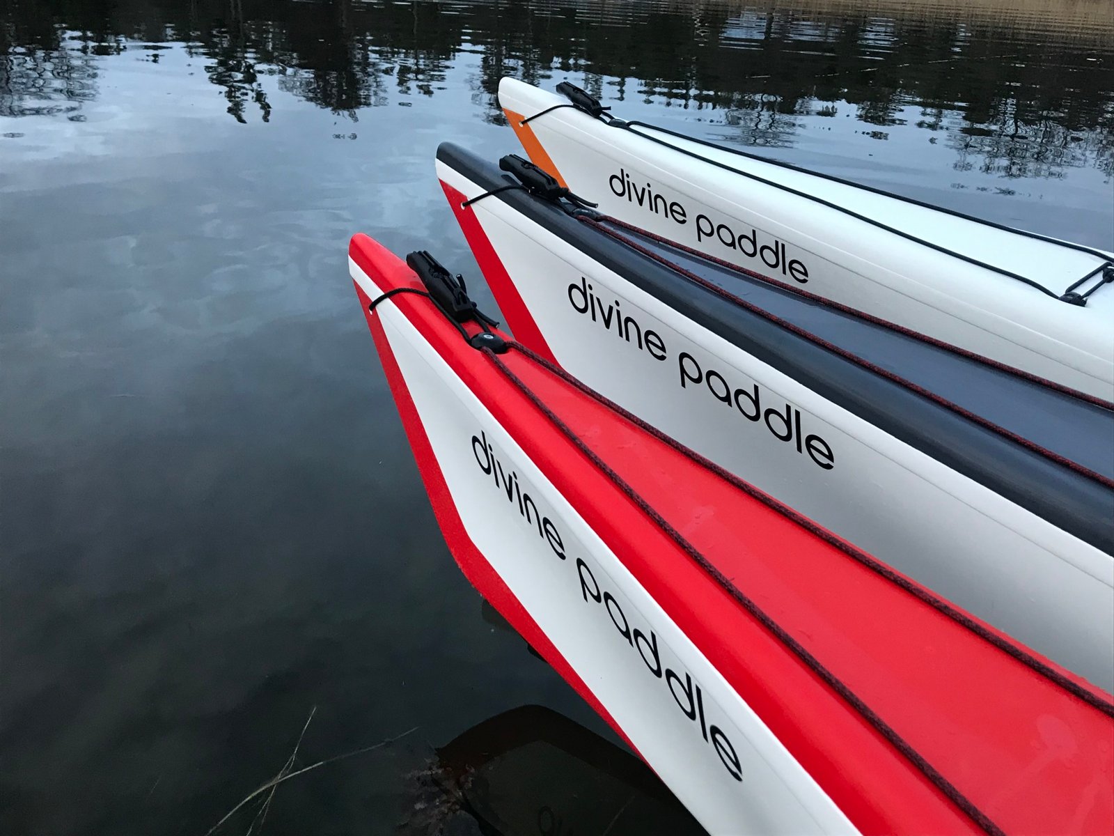 Divine Paddle Seakayak — photo 2